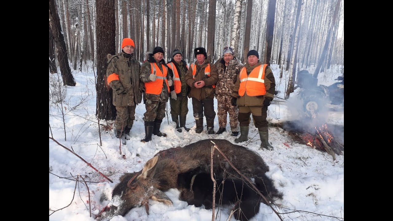 загонная охота 2023 год