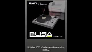 Ezamzukwana 2nd mix by Dj Mlisa