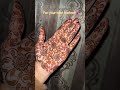 Eid mehendi design 🪷🦢✨