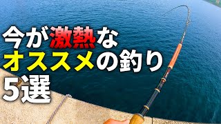 今の時期はこの釣りがチャンス！春～初夏に挑戦しなきゃ損な、今がオススメの釣り5選！