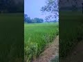 वह तो हमारे देश के किसान लोग हैं#latestnews #shorts