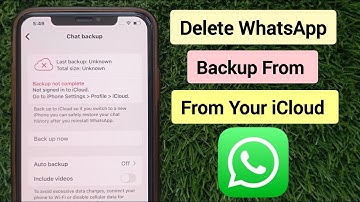How to Delete WhatsApp Backup From iCloud in iOS 18