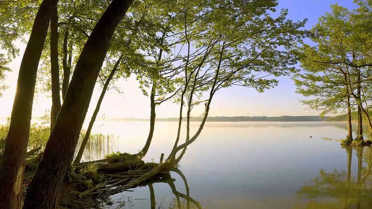 Oliver Shanti & Friends  - Well Balanced