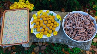 The challenge of making Kurma, Ladoo & Barfi in one day!