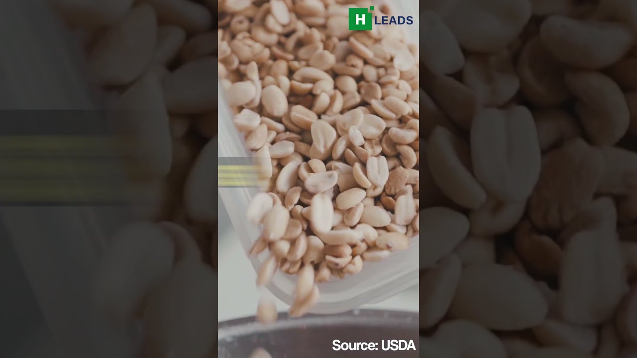 Top 5 High Protein Vegetarian Foods Healthy Food Shorts