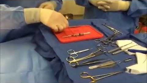 Soffzone® Neutral Zone Tray