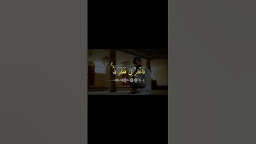 من سورة القصص | القارئ ياسر الدوسري. اكتب شيء تؤجر عليه 🤍 #قران #قرآن_كريم #قرآن #quran #حالات