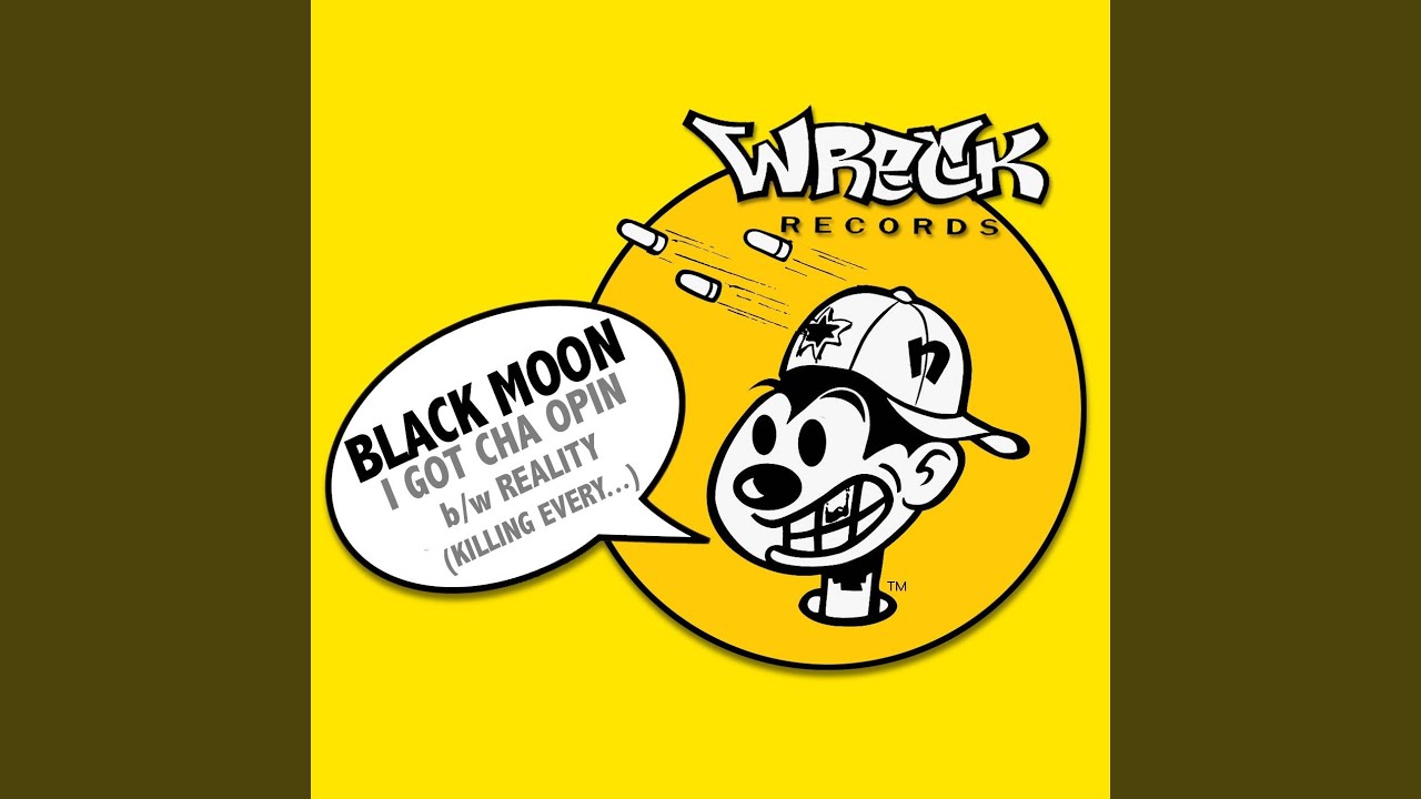 I Got Cha Opin (Instrumental)