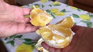 Как почистить апельсин | How to peel an orange