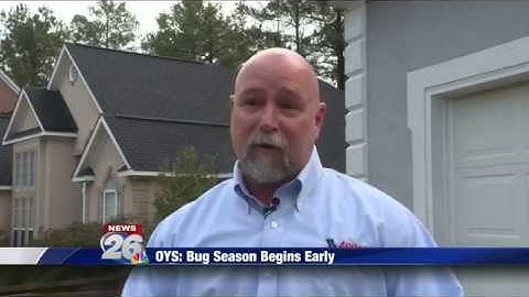 Arrow Exterminators Shares Tips to Prevent Termite Infestations