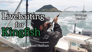 Livebaiting for Kingfish with Dave, Dekyn and Nathan [ Tauranga Harbour ]