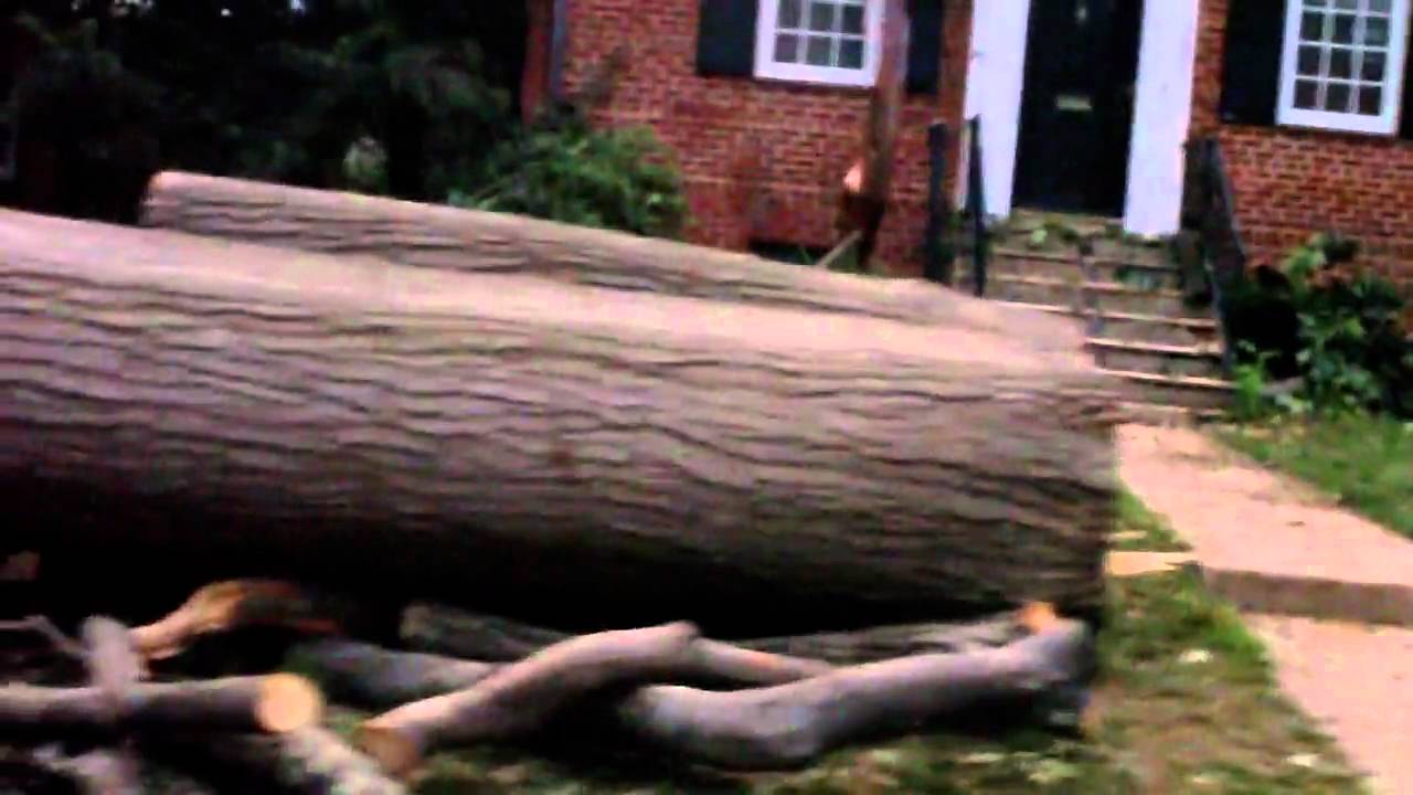 Day after thye storm Chevy Chase