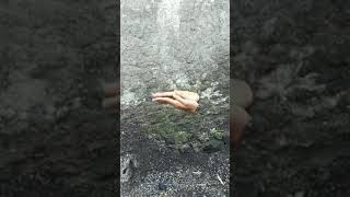 Baju kamuflase, baju tembus pandang