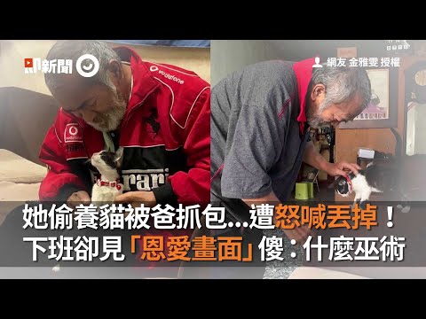 她偷養貓被爸抓包...遭怒喊丟掉！　下班卻見「恩愛畫面」傻：什麼巫術