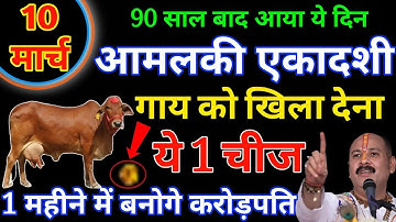 10 मार्च आमलकी एकादशी के दिन गाय को खिला दें ये 1 चीज | बनोगे करोड़पति #ekadashi​ #pradeepmishra