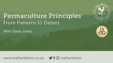 Permaculture Principles: Patterns To Details