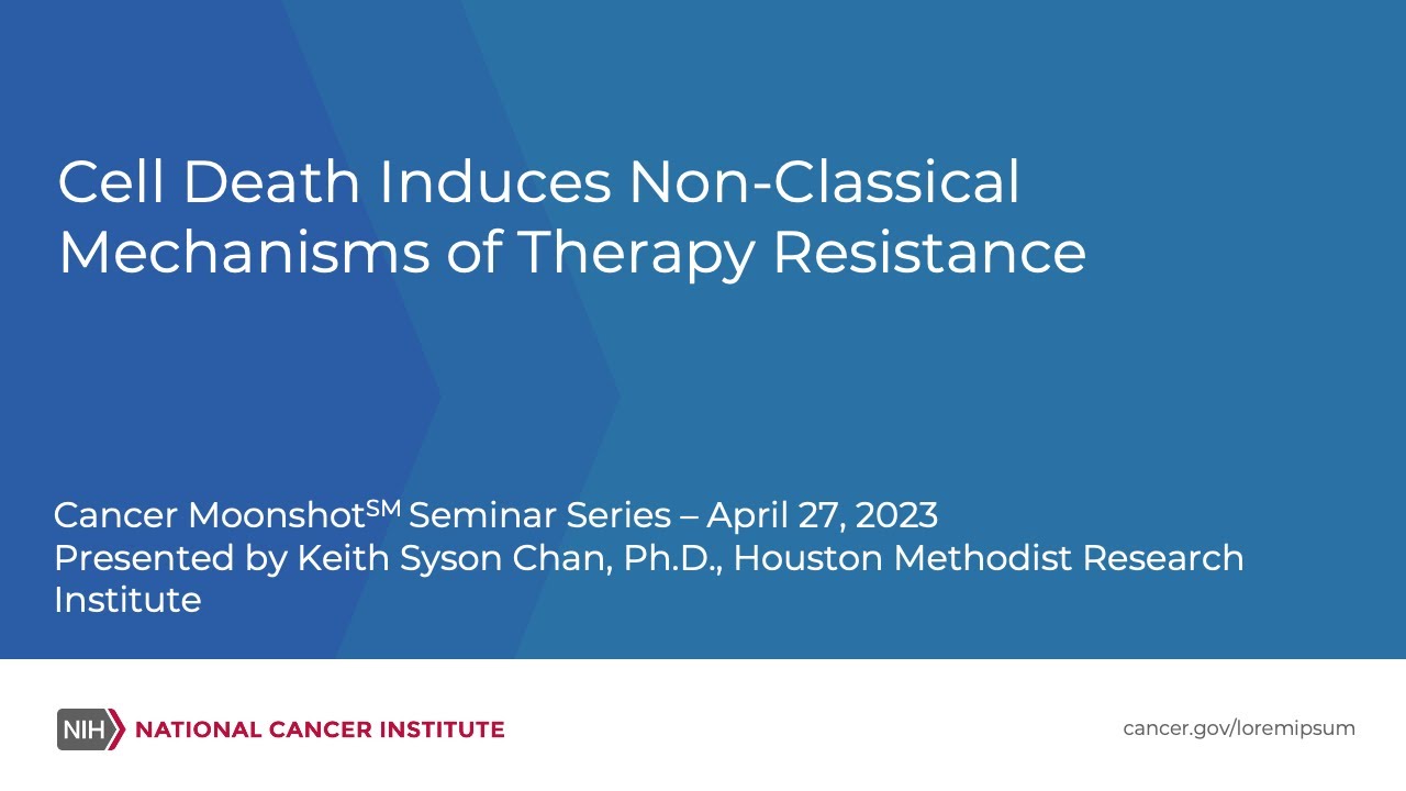 Cell Death Induces Non-Classical Mechanisms of Therapy Resistance - YouTube