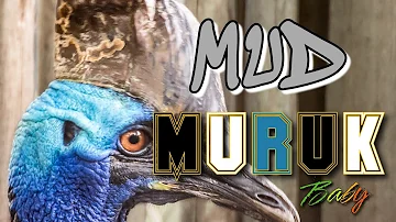 Mud Muruk | 2023 | Estapacifica | Produced by Rogi Roj |@jaywesplaylist