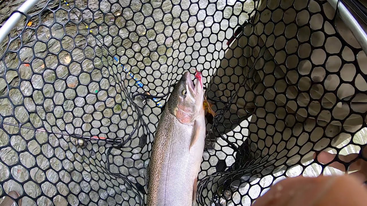 Epic!!! (SteelHead) Fishing Trip to Erie, Pa Catch And Clean