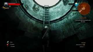 Witcher 3 - Bloody Baron - How to Climb Through The Old Well