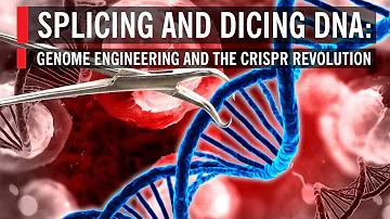 What are the steps in gene splicing?