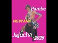 PAMBE NGWANA JAJUCHA HALUSI KWA NTEMANYA 2026 0756784918 MSAMBAZAJI 