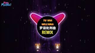 梦泪处刑曲 Tu vivi nell'aria (抖音 Tiktok Remix 2022) || Hot Trend Tiktok Douyin