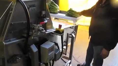 Dual Increment Cutter   Celery or Carrot Segment Cutter   www CharliesMachineandSupply com