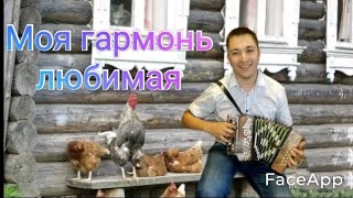 Гармонь нотка,немного игры