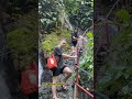 #waterfall #tumpaksewu #lumajang #aantravel #fypviral2024 #fypシ゚viral #fyp