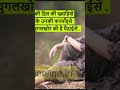 #motivation #inspiration #2026 #motivationalvideo #motivation