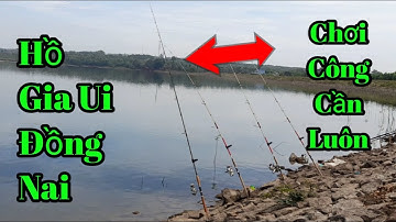 Câu Cá TV || Ra Hồ Gia Ui Test Mồi Cám Tanh Với Mồi Ngũ Cốc Và Cái Kết... Nhí CuTe