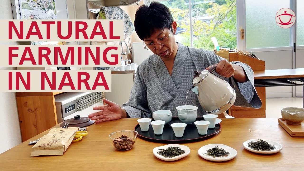 Natural faming: Japan brings organic tea cultivation to the next level.