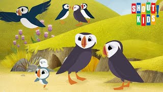 Puffin Rock And The New Friends - Clip: Oona Sees Isabelle Flying