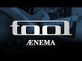 TOOL - Ænema (Guitar Cover with Play Along Tabs)
