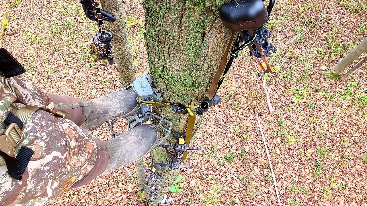 Big guy saddle hunting, with a crossbow? Xop Platform, Aero Saddle