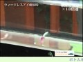 フェザージグウォーカー 03.m1v