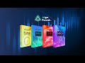 Introducing Algo Forest's 4 Flagship Automated Trading Programmes