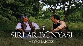 Sırlar Dünyası - Meyve Bahçesi̇