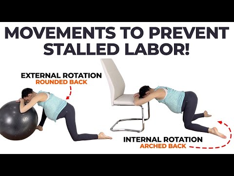 Labor Positions To