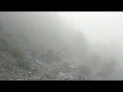 donkeys carrying supplies up Mount Olympus, Greece