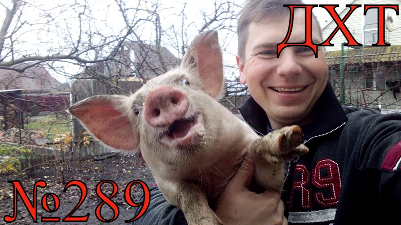 ///Клининговая Компания У СВИНЕЙ ( Рабский День)/// - YouTube