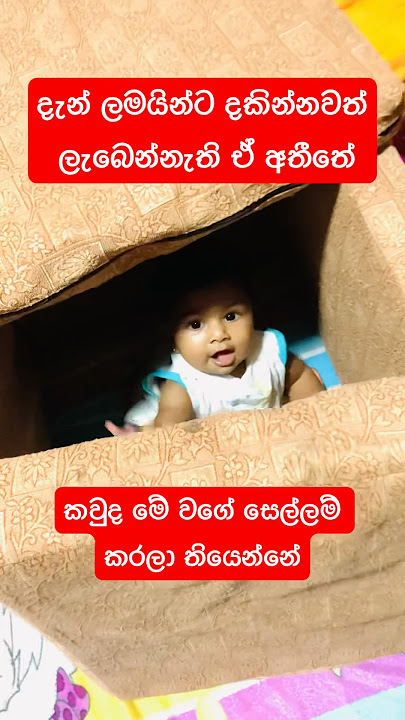 මේ සෙල්ලම කරලා තියෙන්නෙ කවුද කියන්න #sesari #funny #love #funnyvideos #babygames #play #baby #comedy
