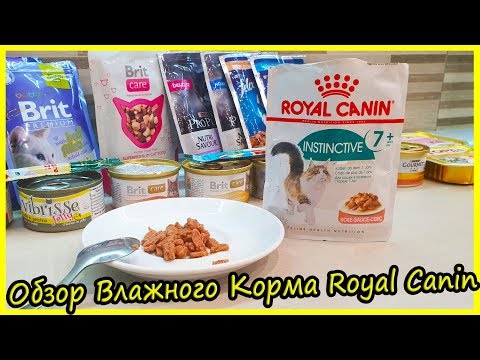 Обзор Кошачьих Кормов Royal Canin 2019. Обзор на Кошачий Корм Супер Премиум. Блог Кота Альф