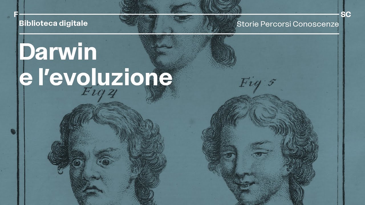 Darwin e l'evoluzione