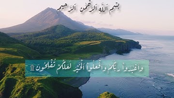 سورة الحج- الأية -77