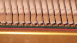 7 Elements in 4 Minutes