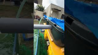 手作り濾過装置 #koi