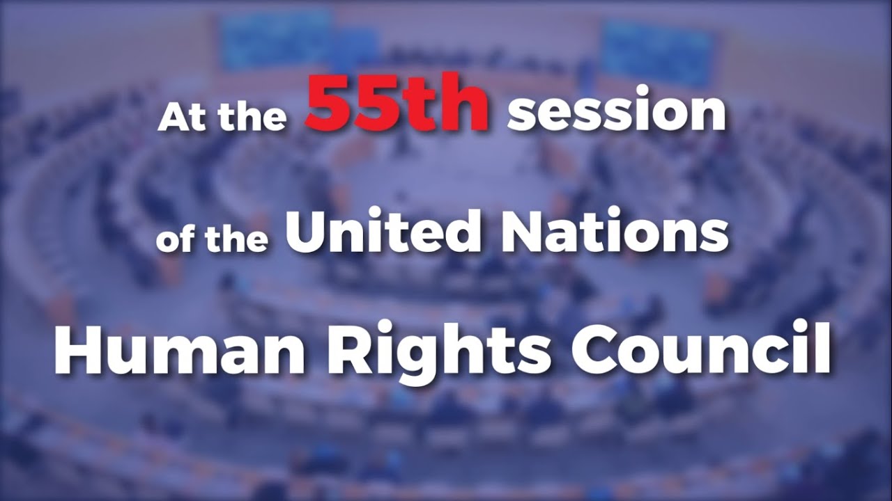 What did CIHRS present during the 55th session of the UN Human Rights ...