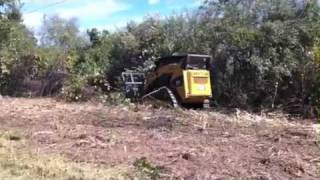 CAT 299C on steel tracks destroying brush